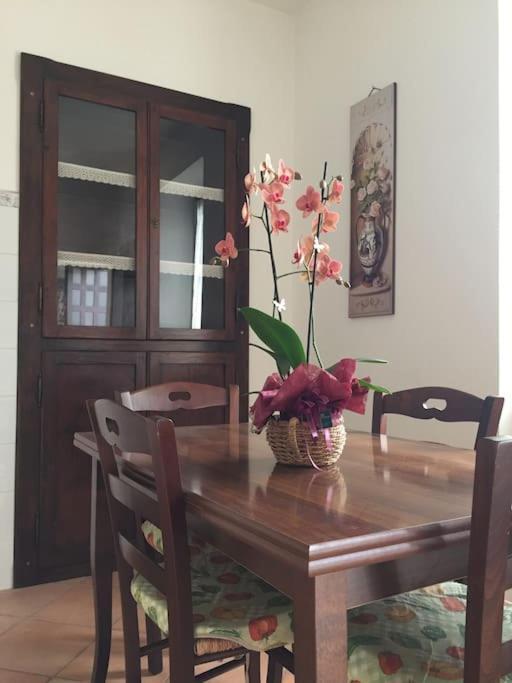 Apartament Narni.Umbria Narni Scalo Zewnętrze zdjęcie